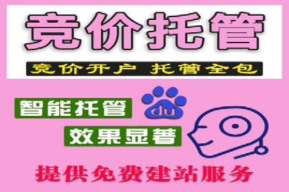 案例分析：高效信息流广告投放策略